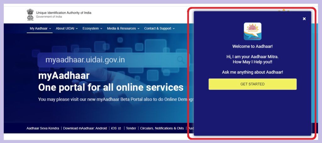 What services do we get through Aadhaar Mitra?