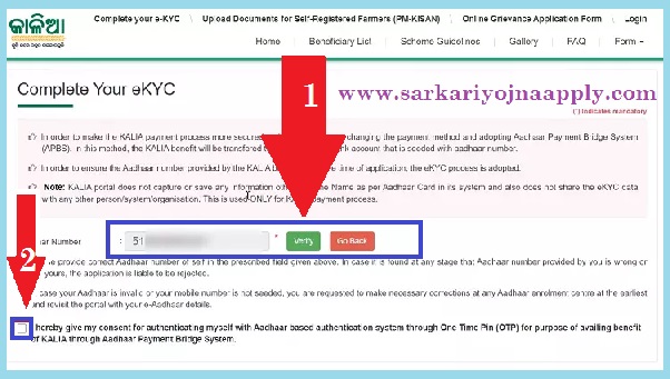 11 4 Sarkari Yojna Apply