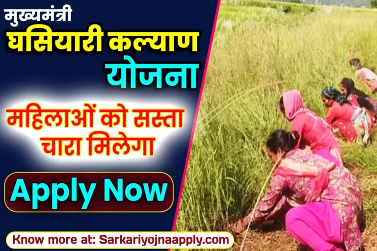 Mukhyamantri Ghasyari Kalyan Yojana Uttarakhand Online Apply 2024 | उत्तराखंड घसियारी कल्याण योजना ऑनलाइन आवेदन फॉर्म, सरकारी योजना अप्लाइ