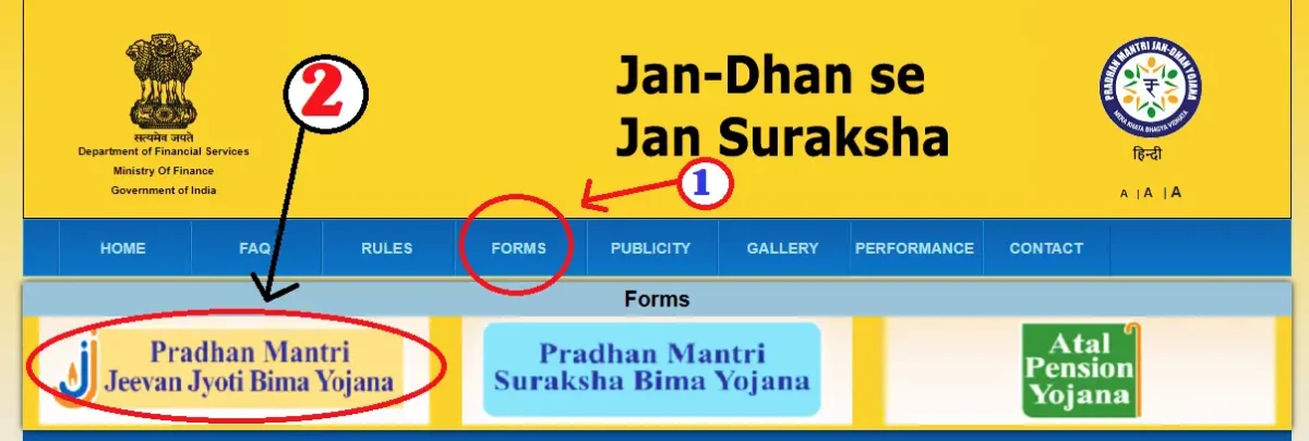 प्रधानमंत्री जीवन ज्योति बीमा योजना 2023 | PM Jeevan Jyoti Bima Yojana Application Form, Claim | Sarkari Yojana