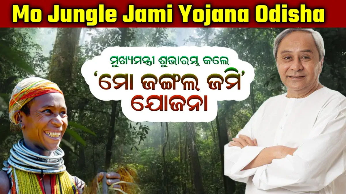 Mo Jungle Jami Yojana Odisha 2024 Registration, Benefits, Eligibility Criteria